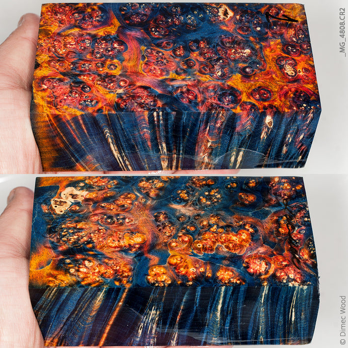 Stabilized wood box elder burl block