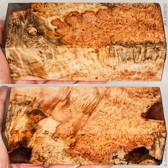 Stabilized wood box elder burl block