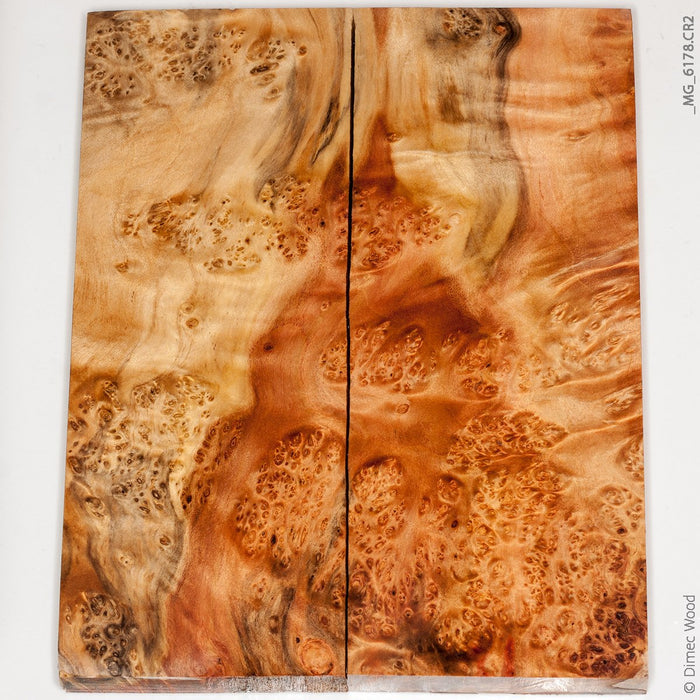 Stabilized wood box elder burl panels