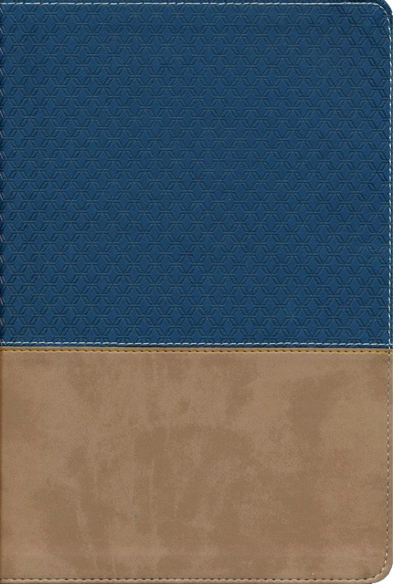 Study Bible (Fully Revised Edition) (Comfort Print)-Navy/Tan Leathersoft-NIV