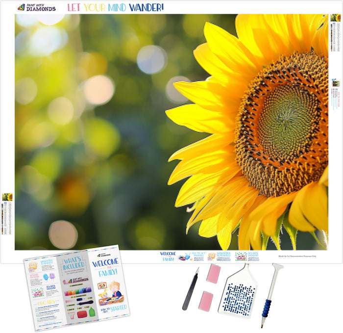 Sunflower in Sunshine
