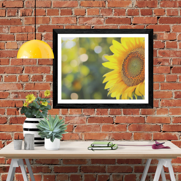 Sunflower in Sunshine