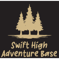 Tee Moisture Wicking Swift Flag