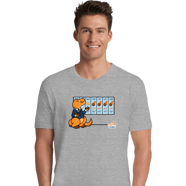 Premium Shirts, Unisex / Small / Sports Grey